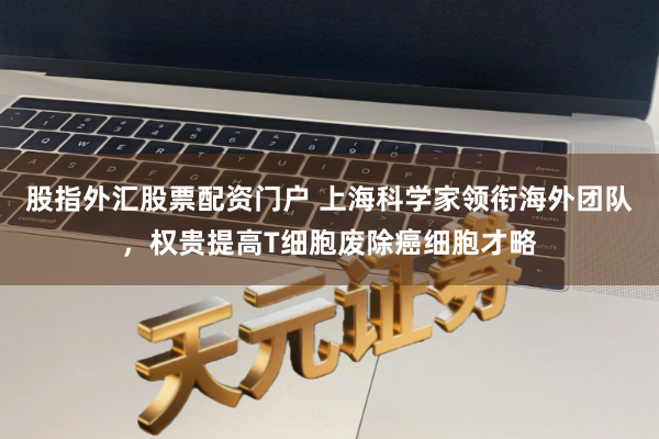 股指外汇股票配资门户 上海科学家领衔海外团队，权贵提高T细胞废除癌细胞才略