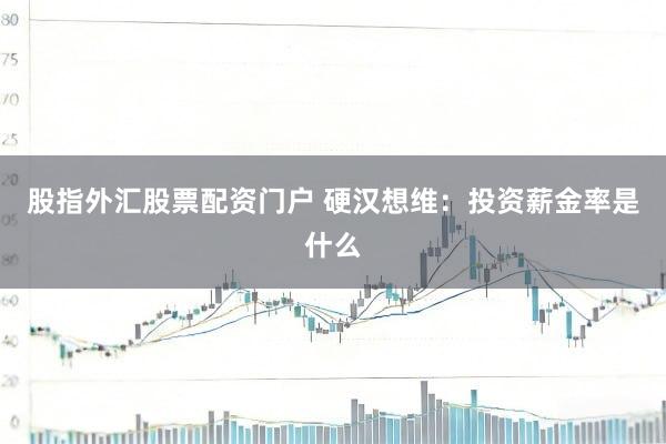 股指外汇股票配资门户 硬汉想维：投资薪金率是什么
